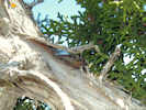 Full Size Image