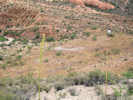 Full Size Image