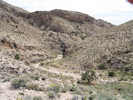 Full Size Image