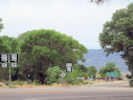 Full Size Image