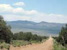 Full Size Image