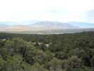 Full Size Image