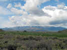 Full Size Image