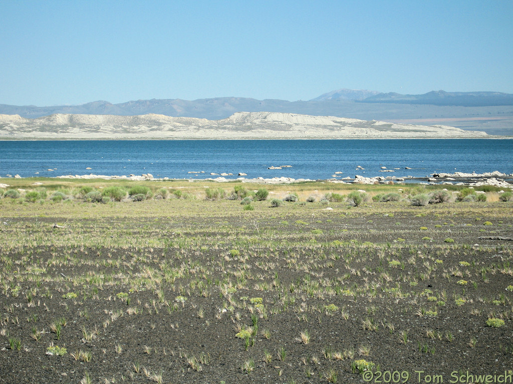 Site P-4, Mono Lake, Mono County, California