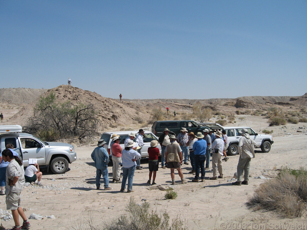 California, San Diego County, Anza Borrego State Park, Fish Creek