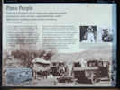 Full Size Image