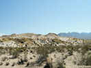 Full Size Image