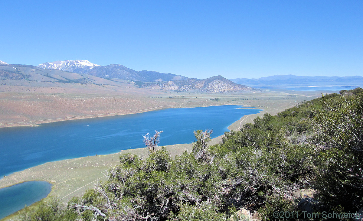 California, Mono County, Grant Lake