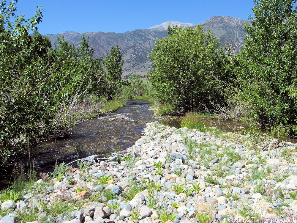 California, Mono County, Mill Creek