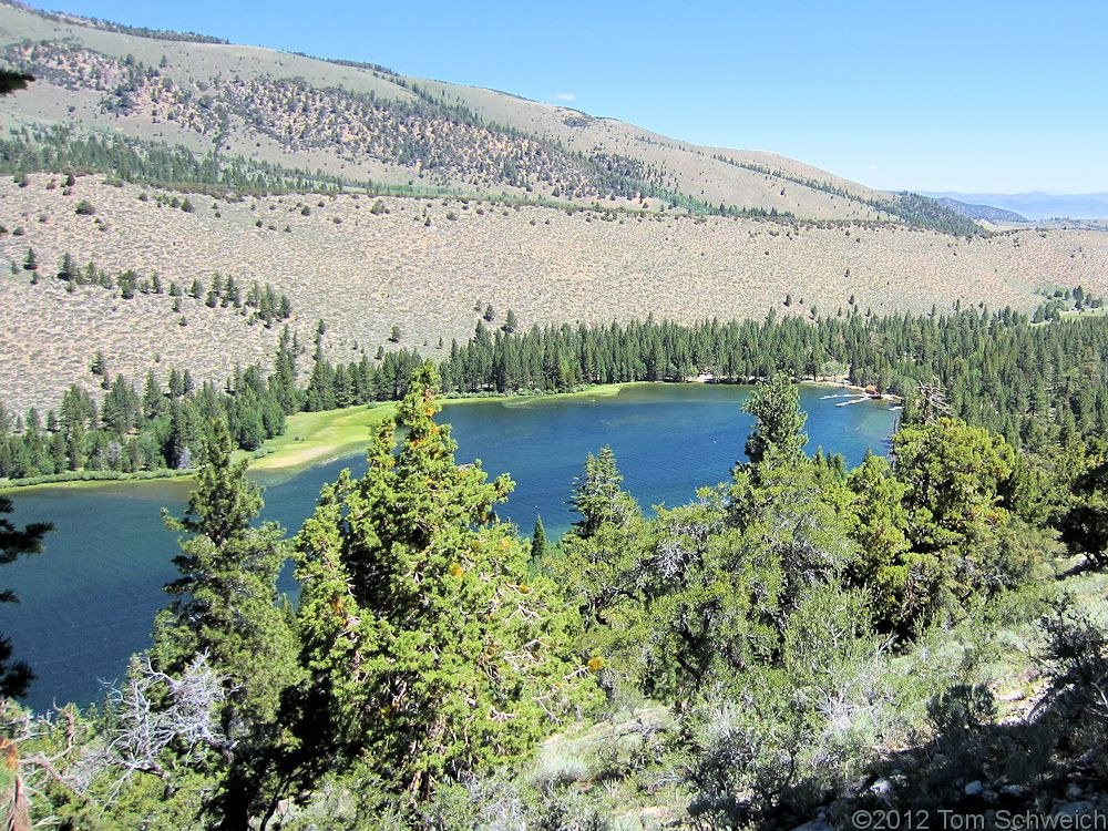 California, Mono County, Walker Lake