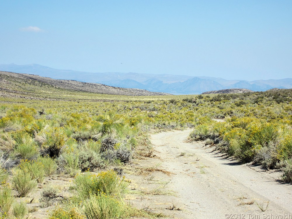 California, Mono County, Mono Basin