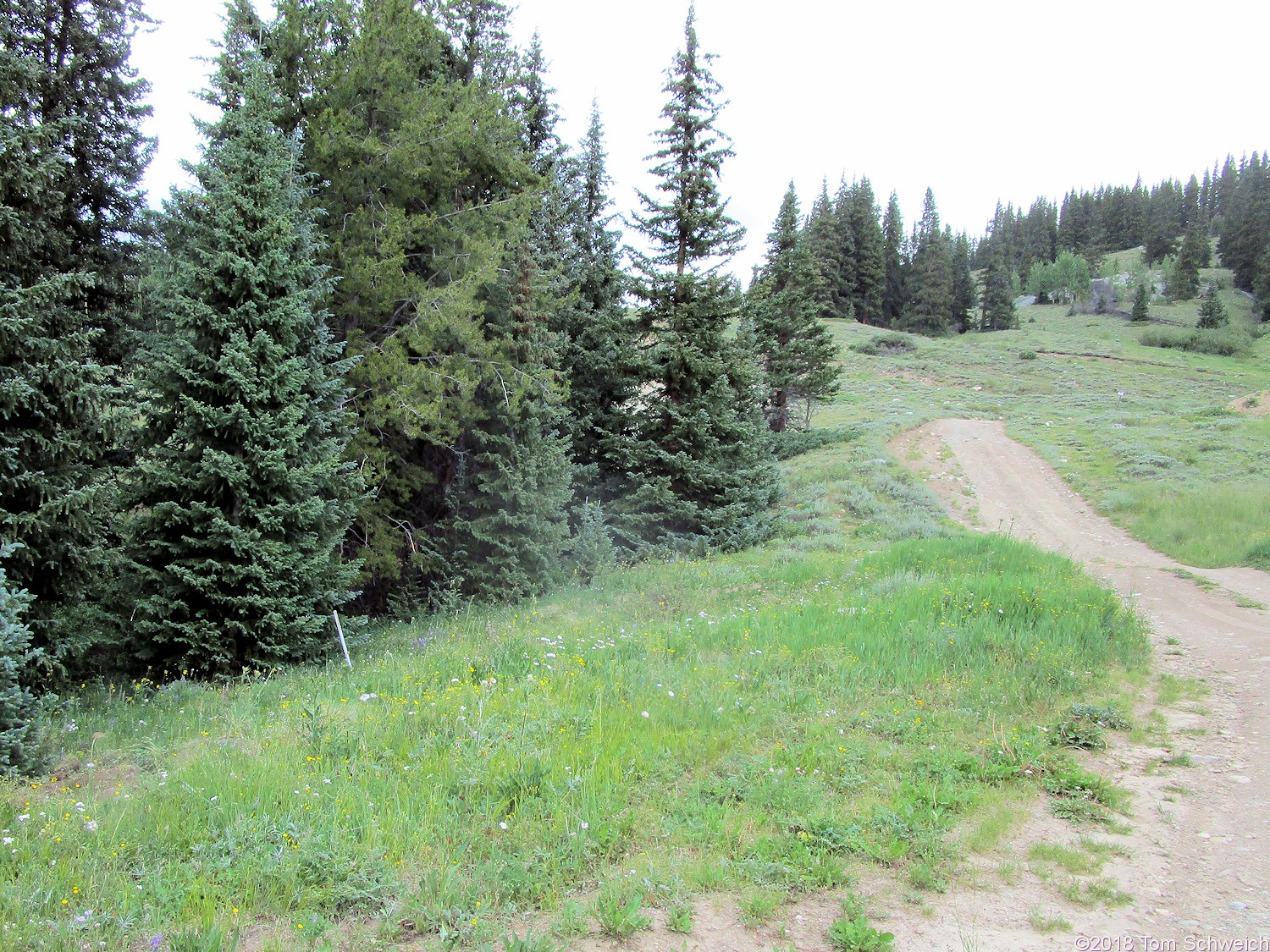 Colorado, Lake County, Chalk Creek