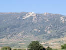 Full Size Image