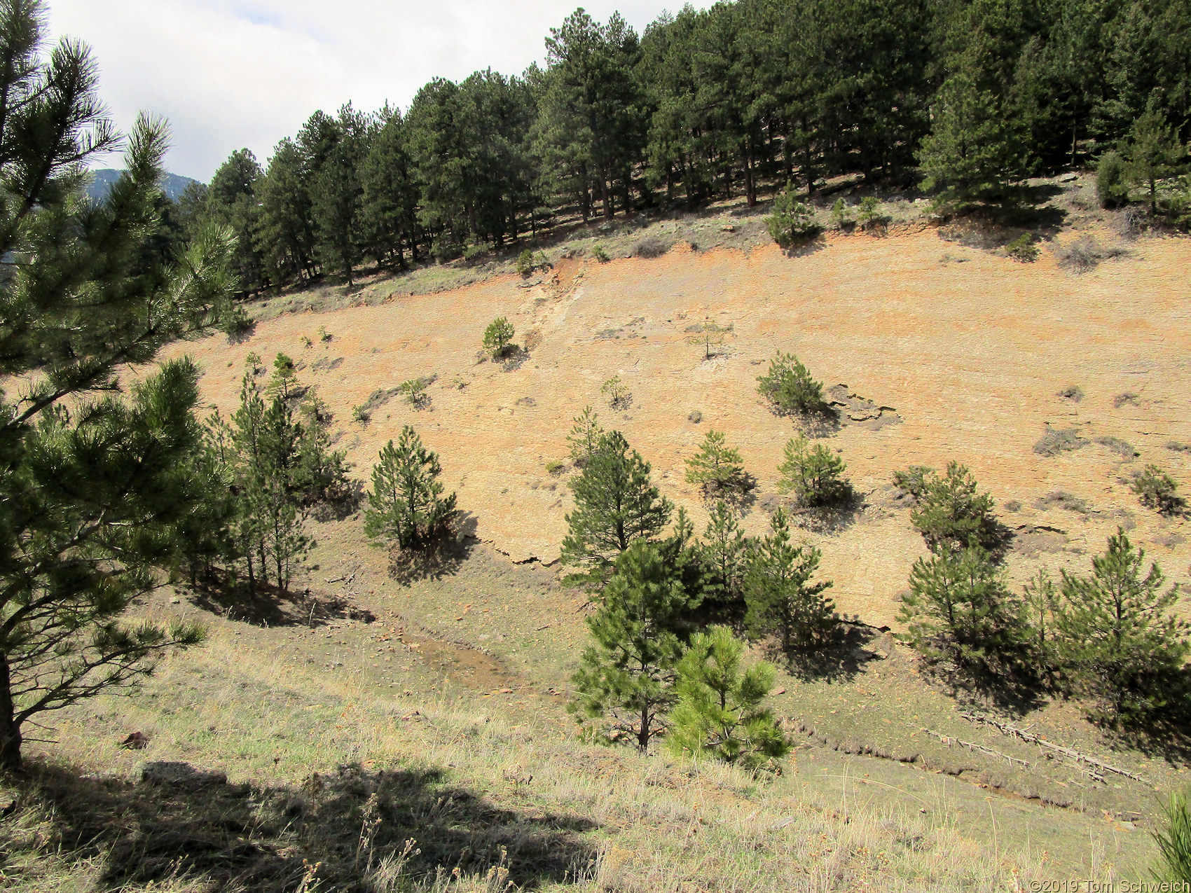 Colorado, Jefferson County, Lippincott Property