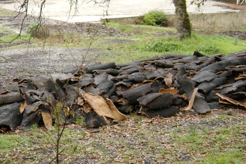 Cork stored for processing.