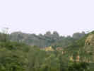Full Size Image