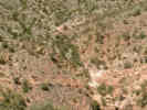 Full Size Image