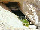 Full Size Image