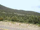 Full Size Image
