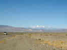 Full Size Image
