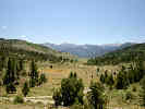 Full Size Image