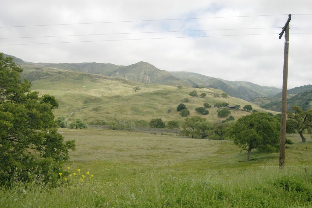 Hummocky terrain, San Andreas Fault, San Benito County, California