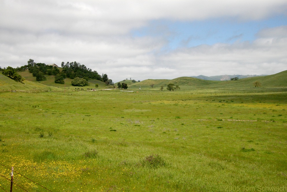 Valley parallel to San Andreas Fault, San Benito County, California.