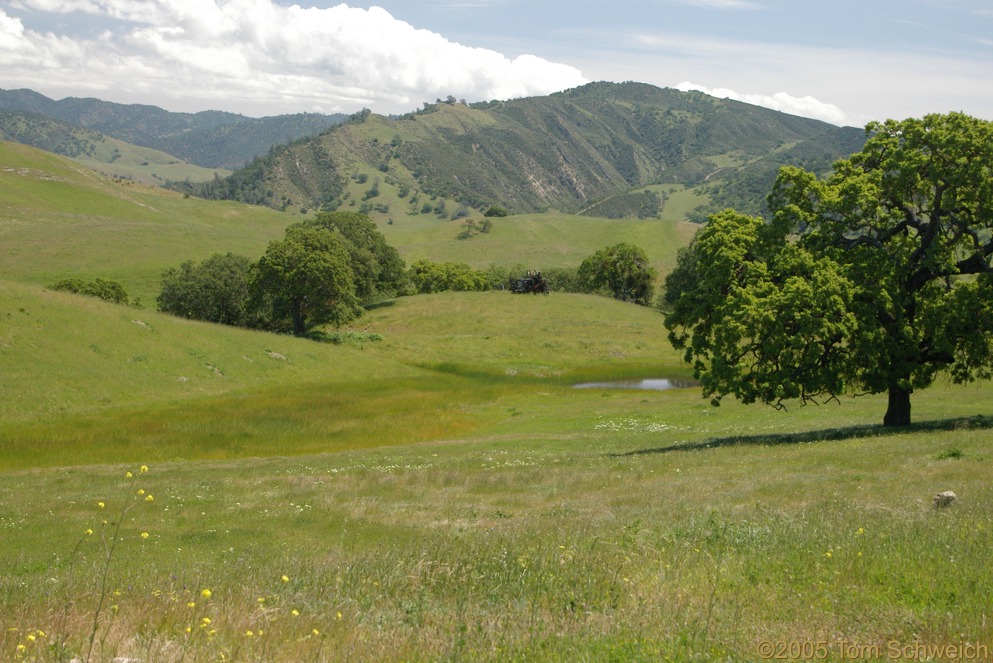 Sag pond, San Andreas fault, San Benito County, California