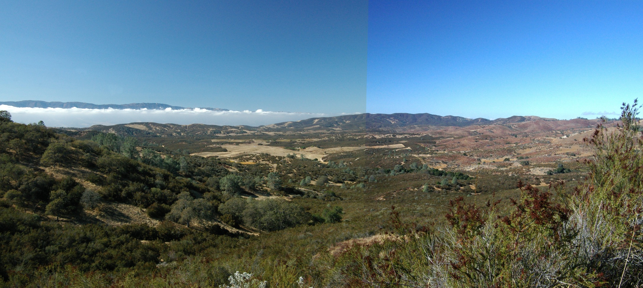 Stonewall Canyon, Gabilan Range, Monterey County, California