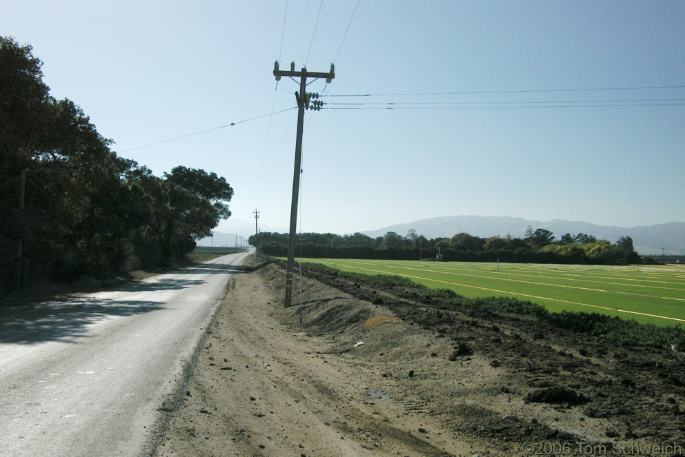Salinas Valley, Monterey County, California
