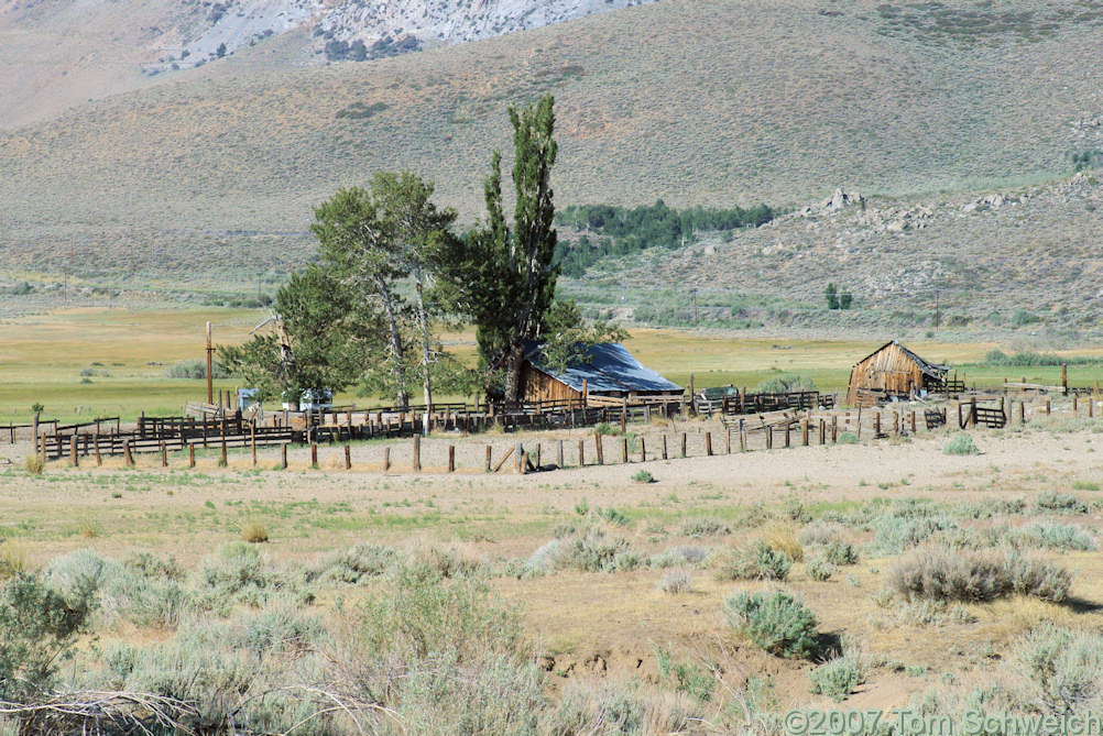 California, Mono County, Conway Ranch