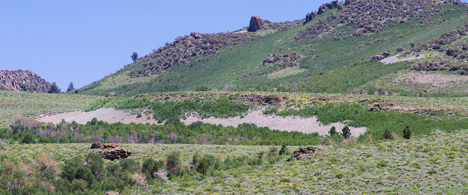 California, Mono County, Sagehen Peak