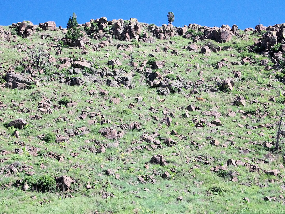 Colorado, Jefferson, North Table Mountain