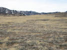 Full Size Image