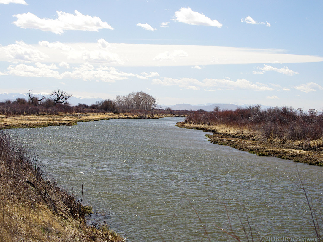 Rio Grande River in the Alamosa National Wildlife Refuge