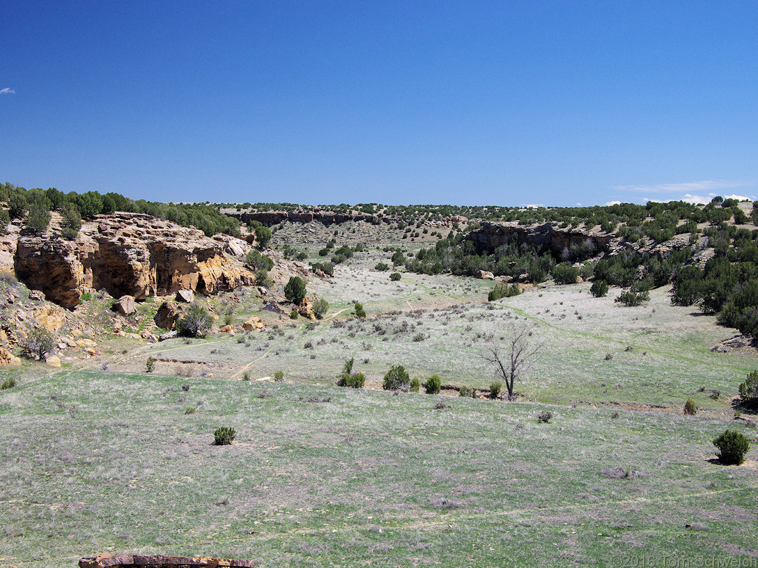 Vogel Canyon.