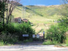 Full Size Image