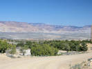 Full Size Image