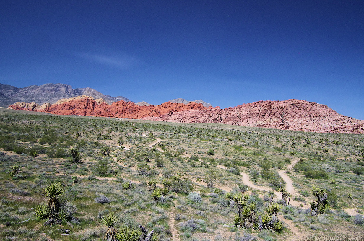 Nevada, Clark County, Red Rock Canyon National Conservation Area