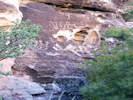 Full Size Image
