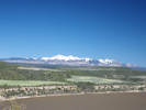 Full Size Image
