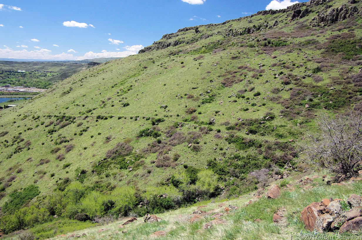 Colorado, Jefferson County, North Table Mountain Park, Mesa Top Trail