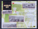 Full Size Image