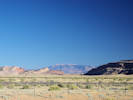 Full Size Image
