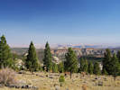 Full Size Image