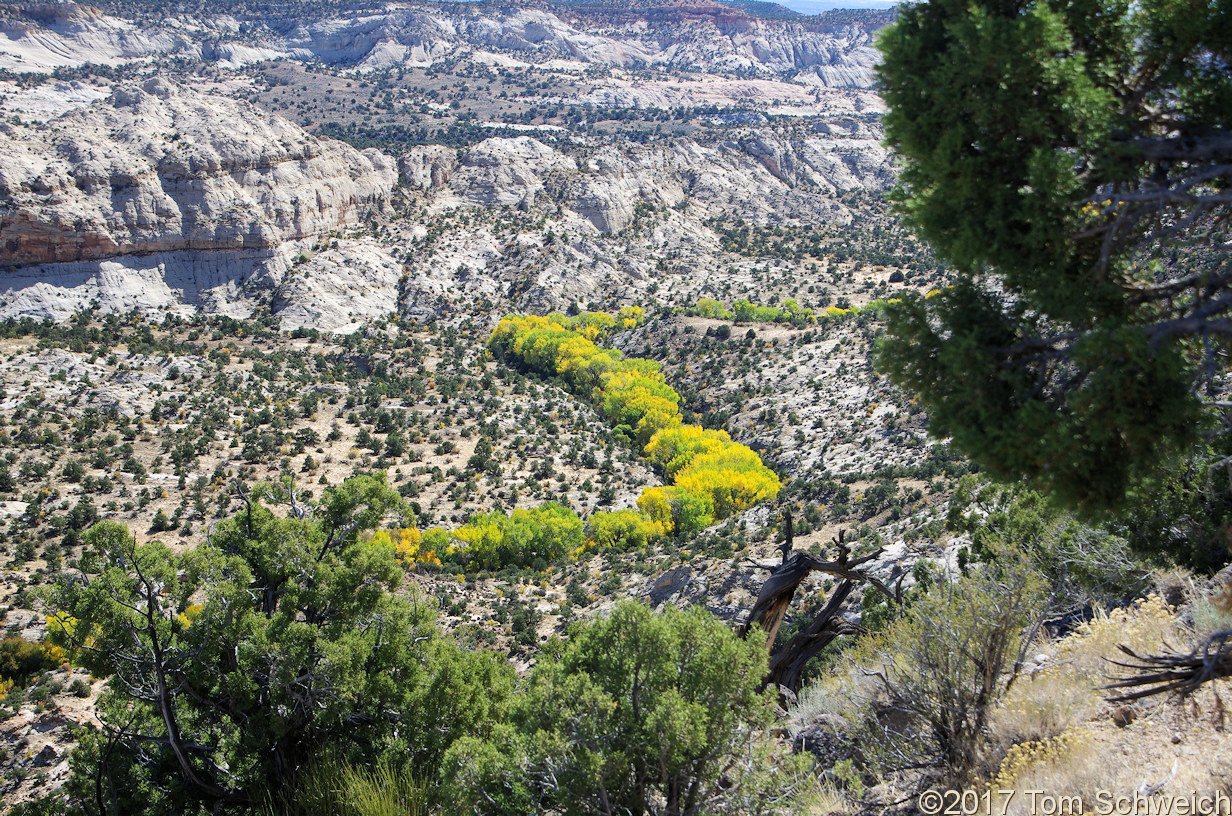 Utah, Garfield County, Boulder Creek