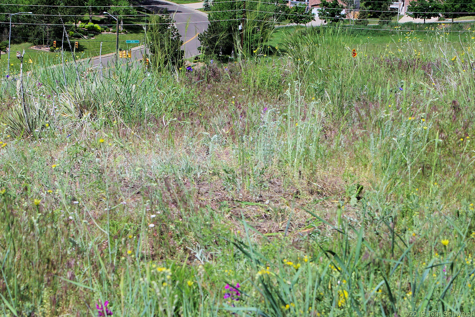 Colorado, Jefferson County, Golden, Schweich Hill