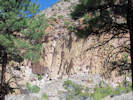 Full Size Image