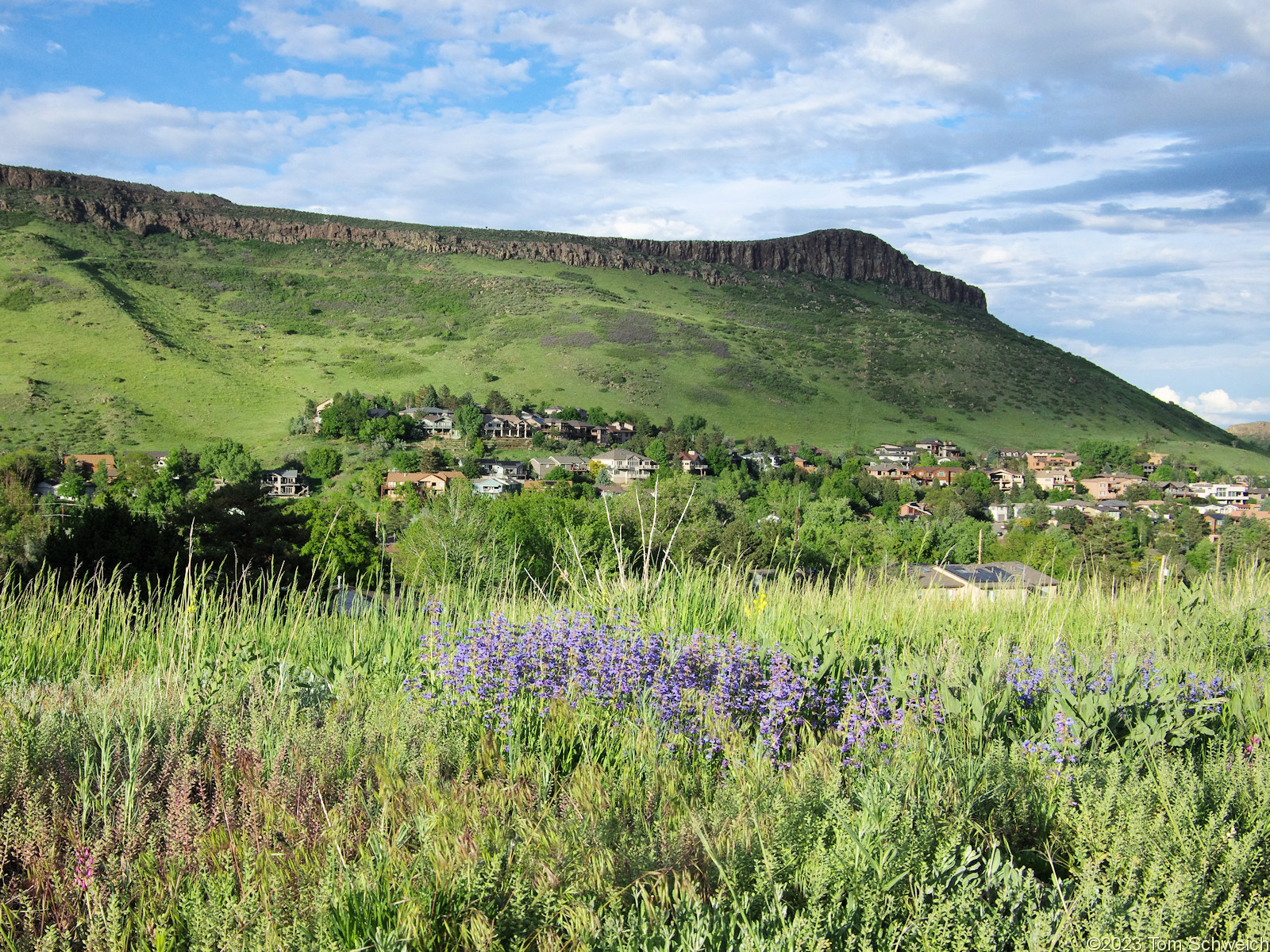 Colorado, Jefferson County, Golden, Schweich Hill