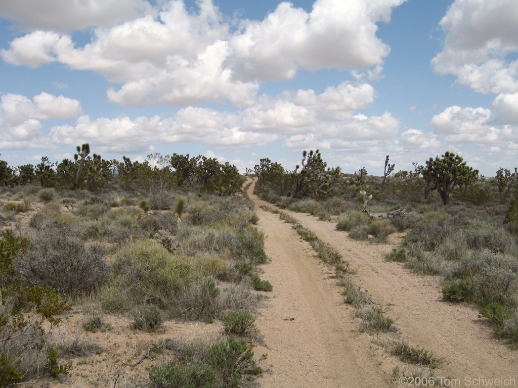 Halloran Hills, San Bernardino County, California